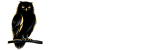 Black Owl Property Website Logo White Font