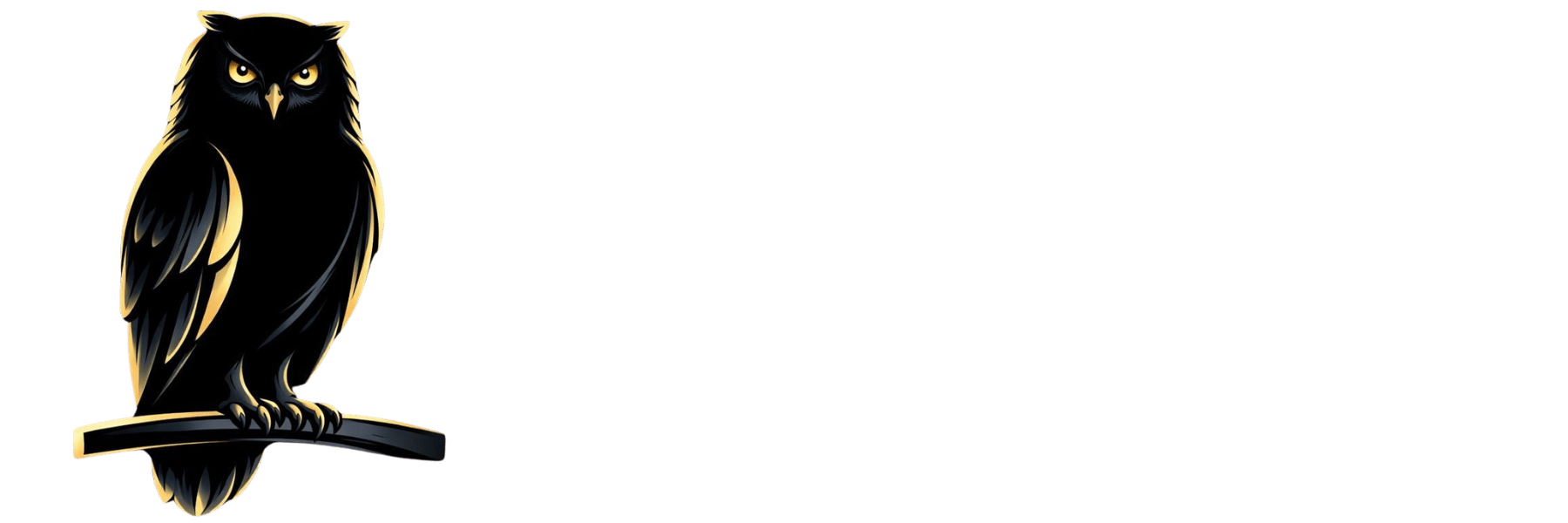 Black Owl Property Website Logo White Font